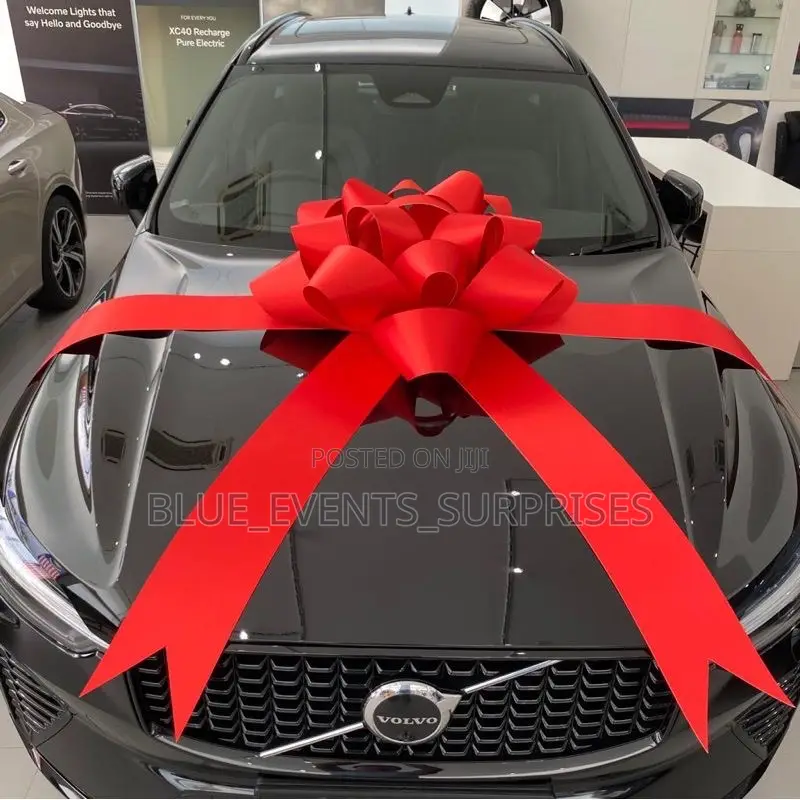 Car Bow Decoration