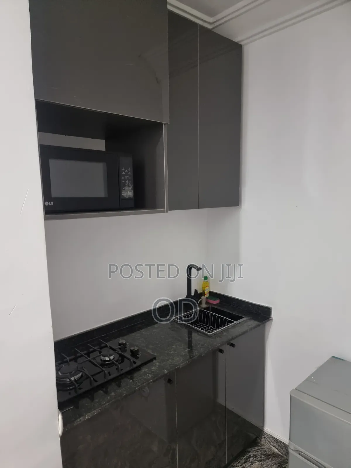Plush Studio Apartment