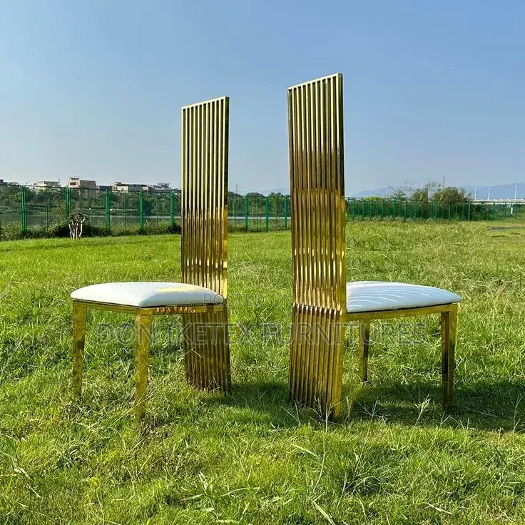 Luxury Vip Chair