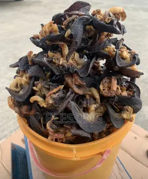 Bush Snails