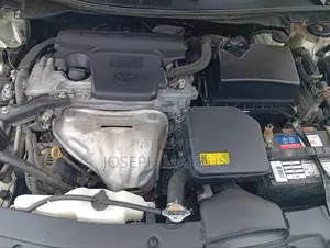 Toyota Camry XLE 4dr Sedan (2.5L 4cyl 6A) 2014 Gold