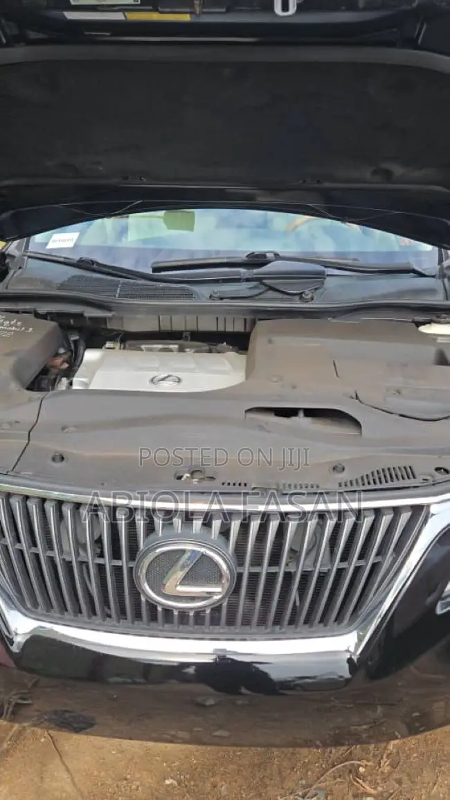 Lexus RX 2010 Black