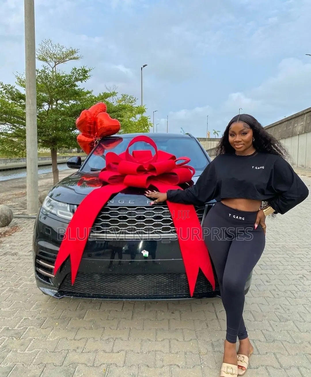 Car Bow Decoration