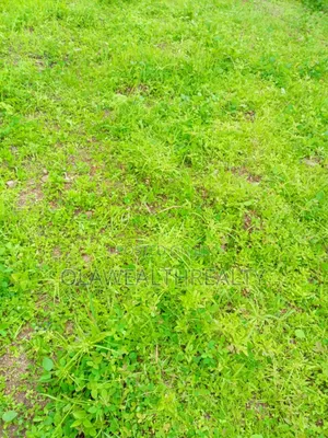 935sqm Residential Land at Lere Adigun Gra, Bashorun