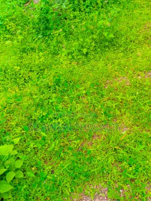 500sqm Residential Land At Forest Estate, Jericho Gra