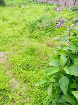 450sqm Residential Land at Tiger Estate Phase 1, Ibadan