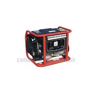 Senwei Eco2020s