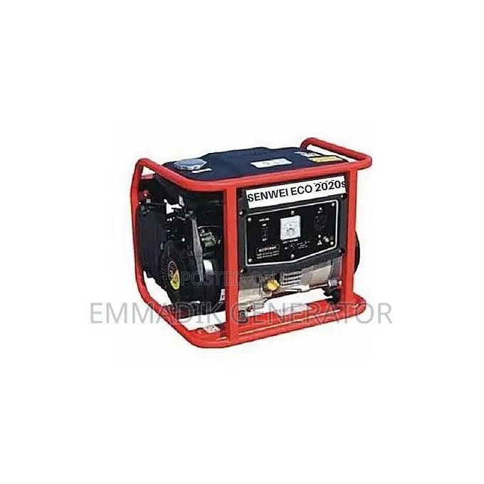 Senwei Eco2020s
