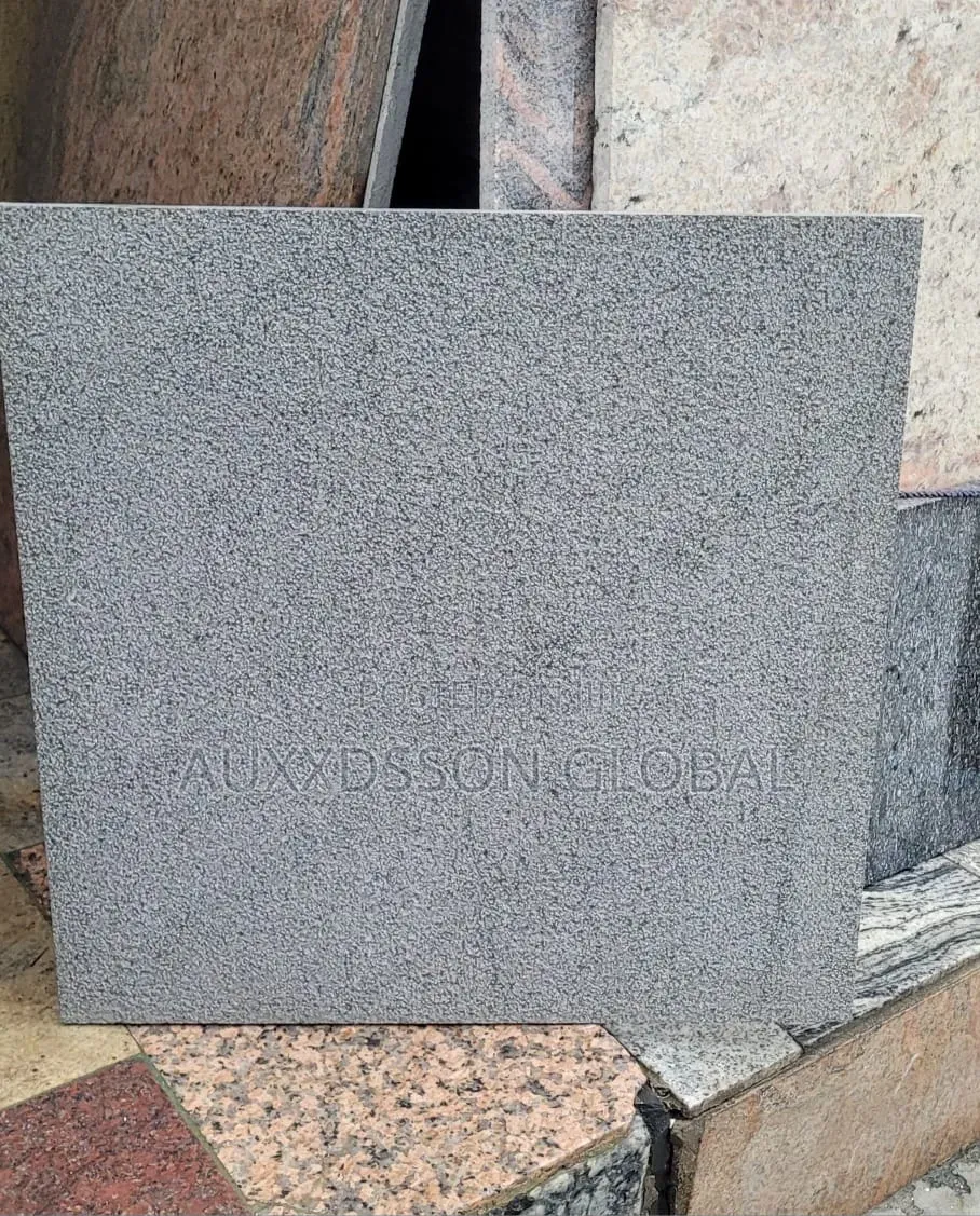 Flamed Granite Tiles (Rough Surface) for Compound Floor