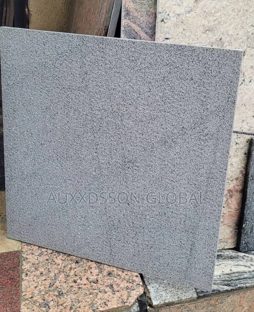 Flamed Granite Tiles (Rough Surface) for Compound Floor