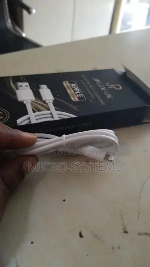 Apple Phone Charger