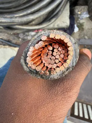 300mm Single PVC Armored Cable