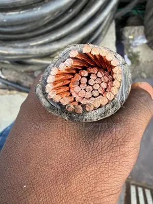 300mm Single PVC Armored Cable