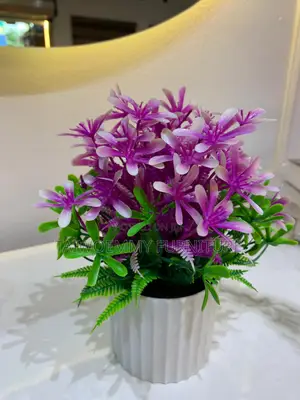 Flower Plant