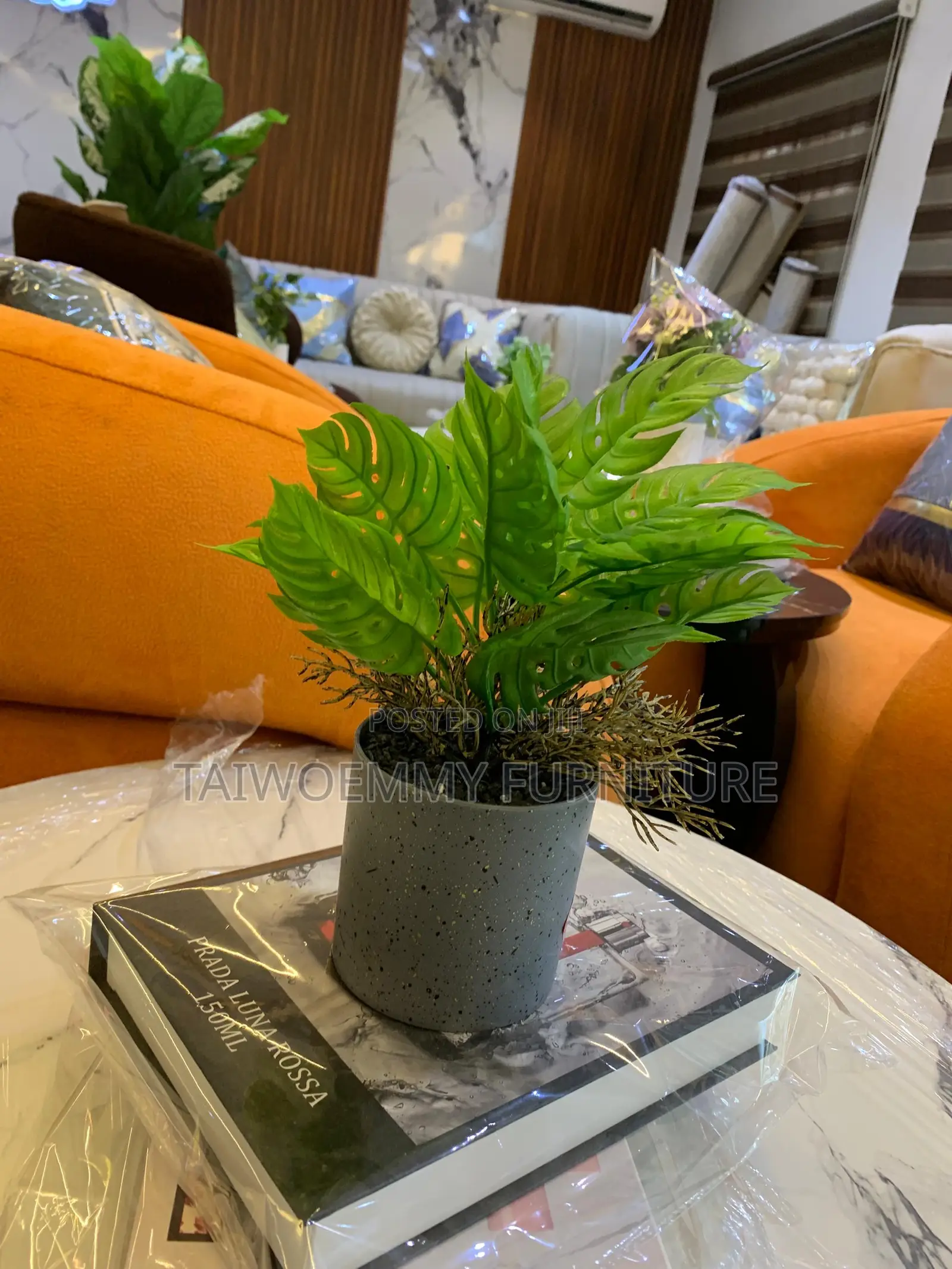 Flower Plant