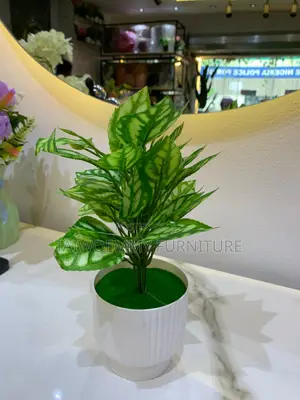 Flower Plant