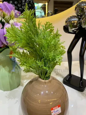 Flower Plant