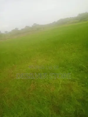 Land for Sell