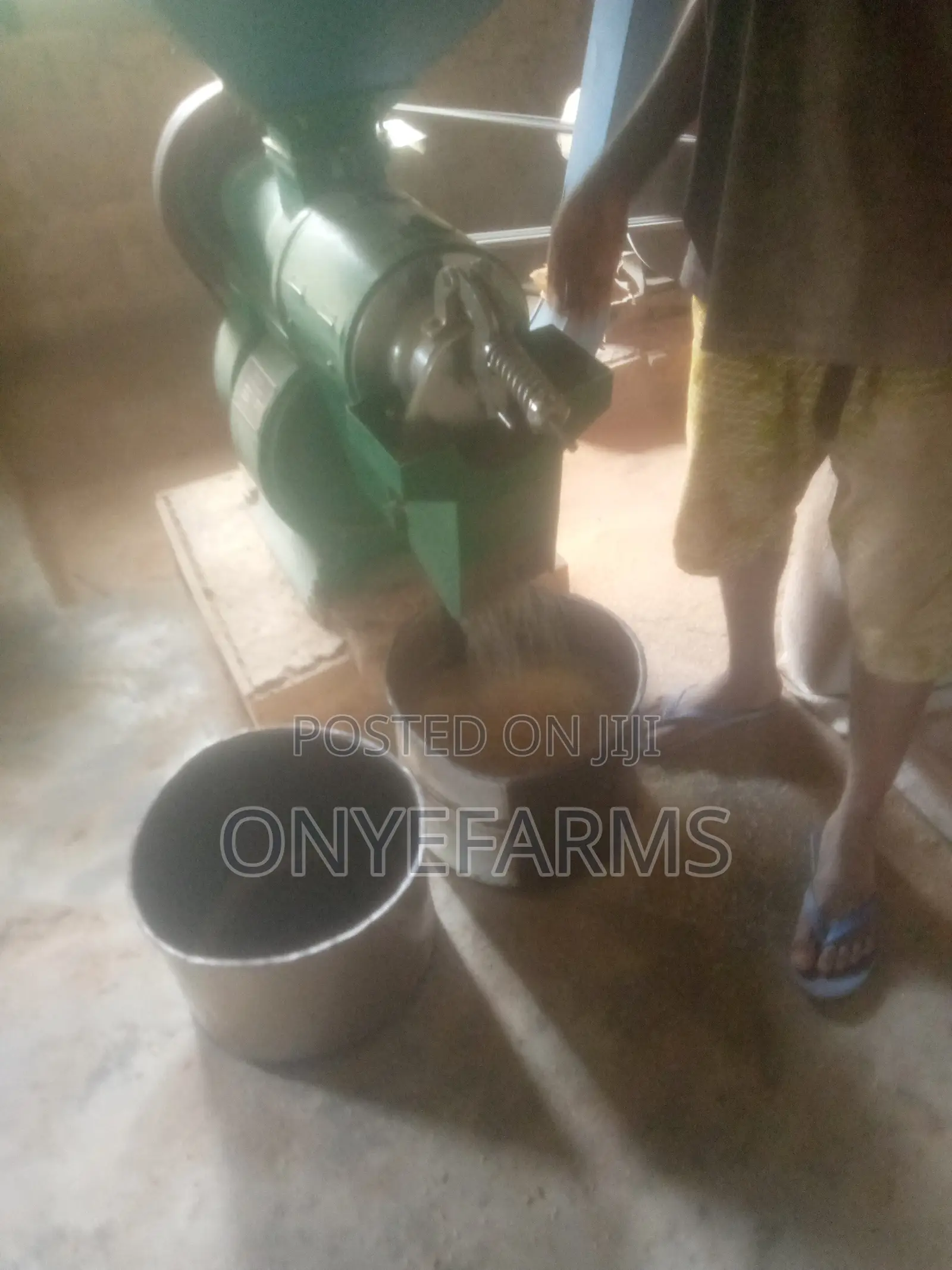 Stone Free Rice for Sale