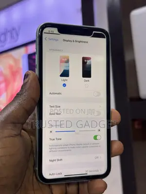 Apple iPhone 11 64 GB Green