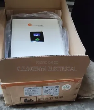 5kwh 48v Felicity Lithium Ion Battery