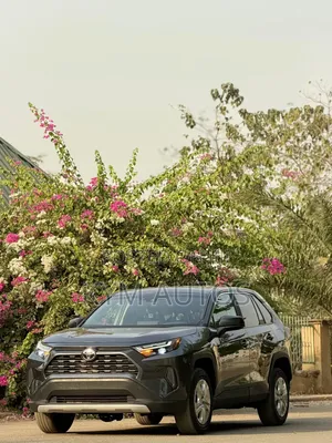 Toyota RAV4 LE AWD 2023 Gray