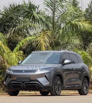 BYD Yuan Plus 2024 Gray