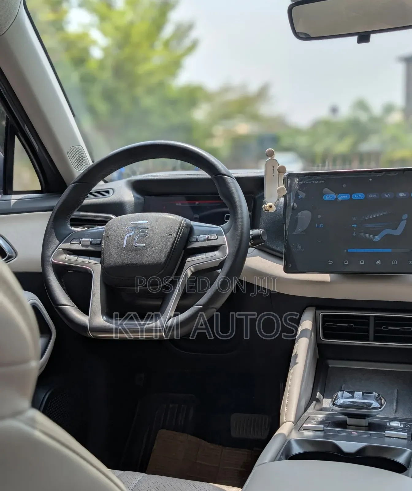 BYD Yuan Plus 2024 Gray