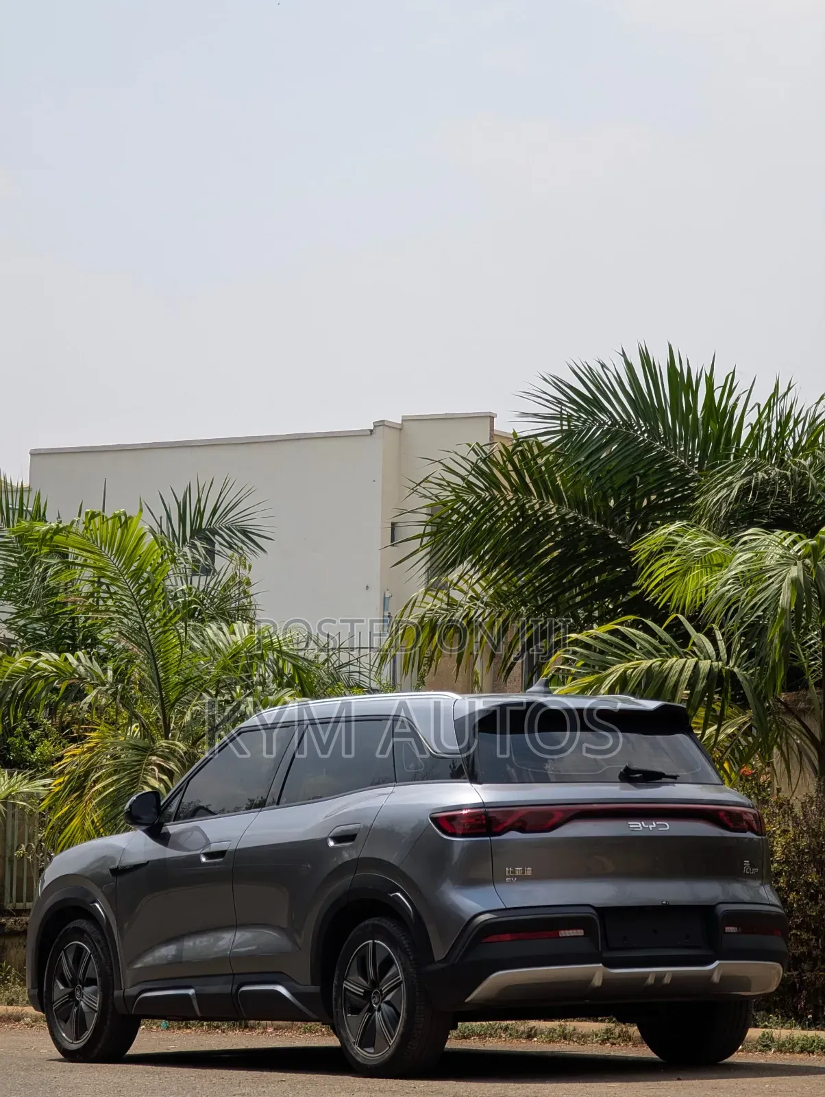 BYD Yuan Plus 2024 Gray