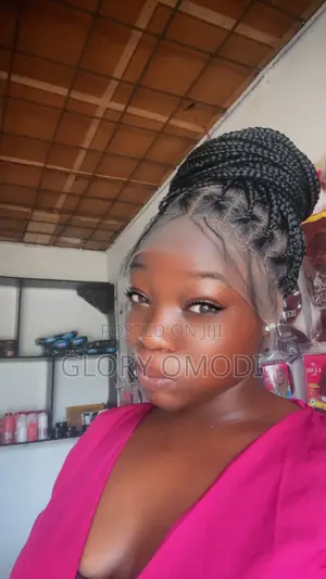 Braided Wig