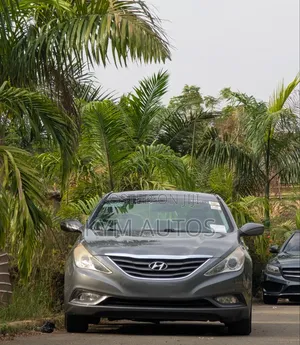 Hyundai Sonata 2012 Gray