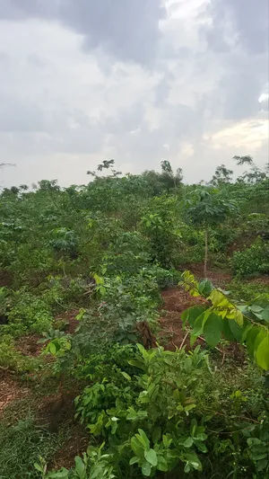 5000 Acres at Anigbado