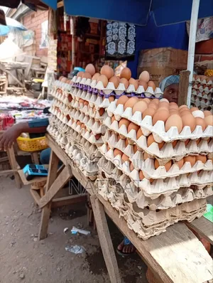 Extra Large Eggs