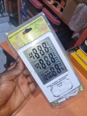Indoor and Outdoor Thermometer With Hygrometer