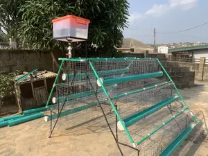 Chicken Cages