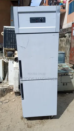 Industrial Single Door Freezer