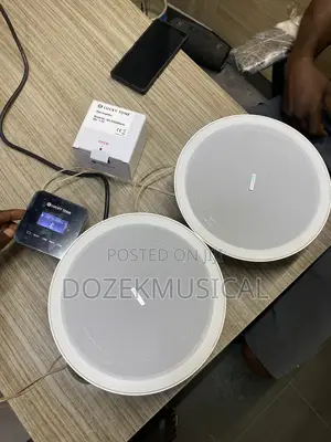 Lucky Tone Ceiling Speaker and Wall Amp
