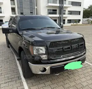 Ford F-150 2010 Black