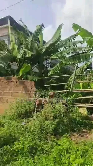 50ft/100ft Land at Oko Central Off Airport Road for Sale