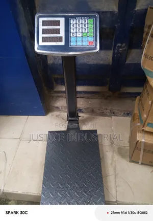 100kg Scale Double Face