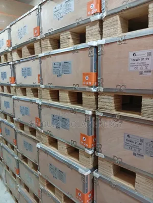 Felicity Lithium Ion Batteries 10kwh 51.2v Fla48200