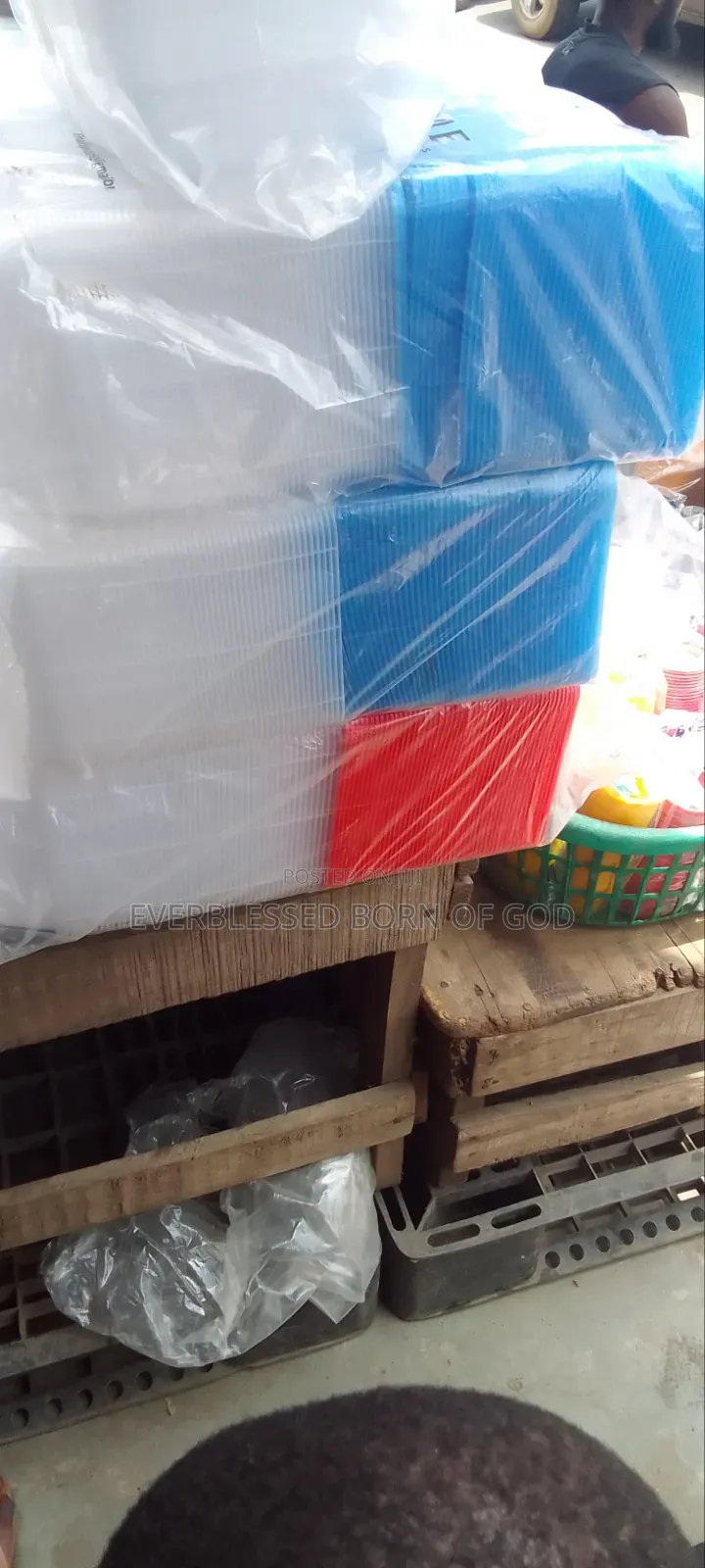 Serving Disposable Plastic Plates, Takeaway