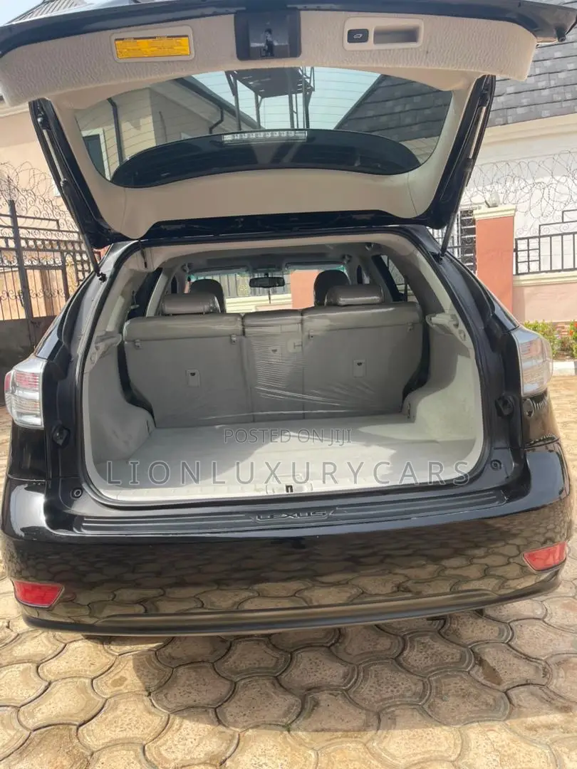 Lexus RX 2010 Black