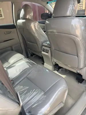 Lexus RX 2010 Black