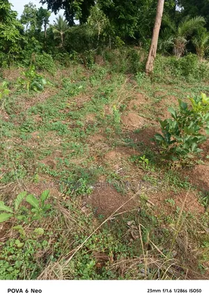 Plot of Land for Sale Opposite Technical College Tsar