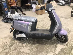 New Dayun Deviser 2025 Purple