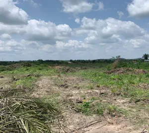 Elerangbe Land With Excision