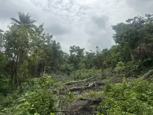 150 Acres Of Farmland Available For Sale In Ogun State, Nigeria