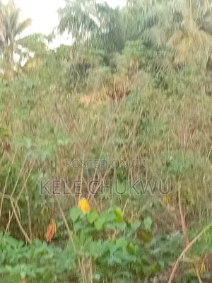 3 Plots of Land for Sell