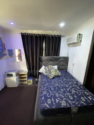Specious Shared Girls Apartment In Lekki Phase One